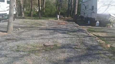10 Squirrel — image 1 of 1