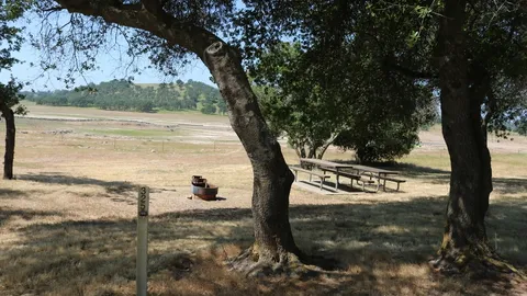 Coyote Flat Premium 8-Person Site — image 1 of 1