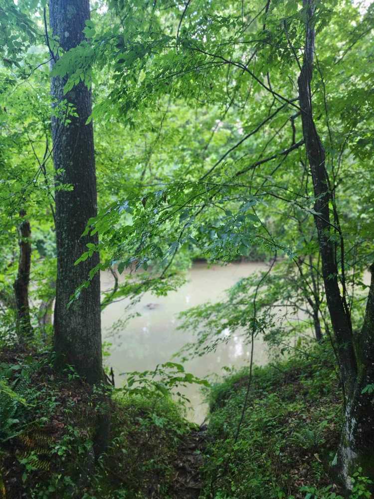 Park Image 9