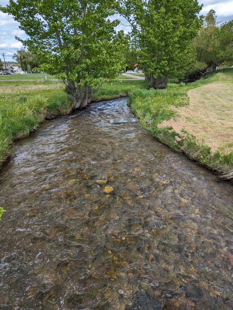 Mount Baker RV Park, Cranbrook, British Columbia - Photo 5