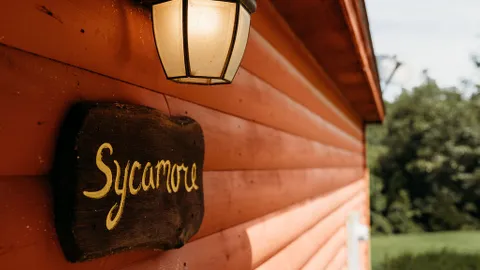 Sycamore — image 1 of 12