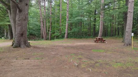 Rustic RV Site — image 4 of 4