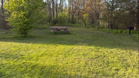 Primitive - Tent Site — image 1 of 1