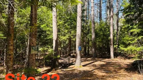WOODED SITE 22 — image 4 of 4