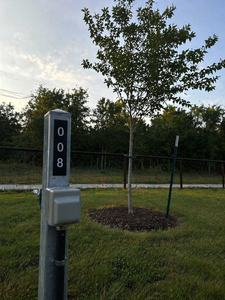 Park Image 6