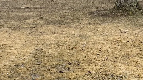 30 Amp, Grass site — image 1 of 2