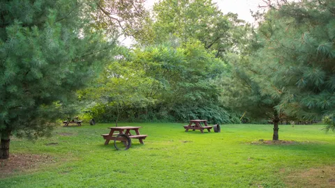 Primitive Tent Site — image 1 of 1