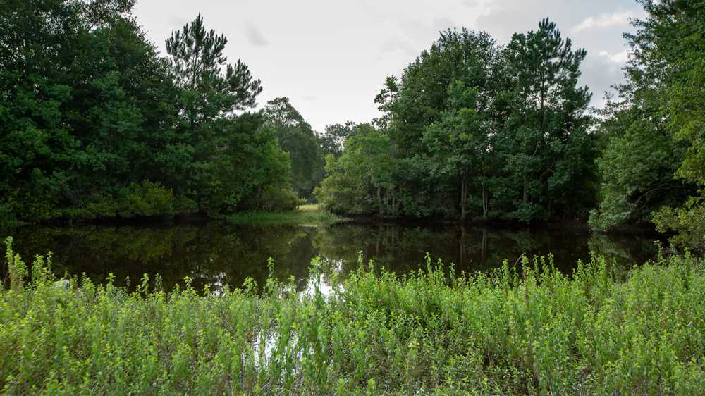The Good Life RV Park - Photo 3