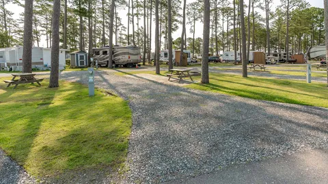 Full Hookup 50amp Pull Through RV Site — image 4 of 4