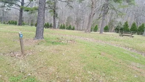 Primitive Tent Site — image 1 of 3