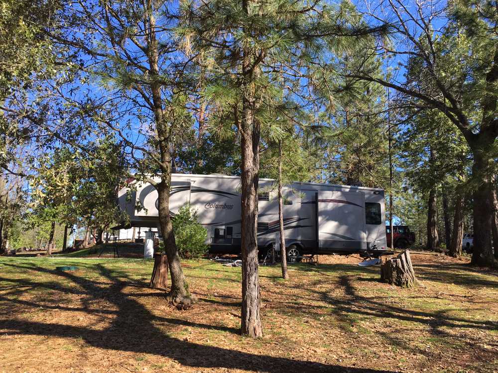 Pine country rv 2025 and camping resort