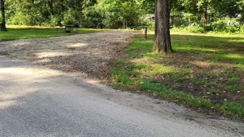 Roadside — image 1 of 1