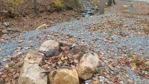 Basic Creekfront 30/50Amp/Water  (No Sewer) RV or Tent site — image 1 of 7