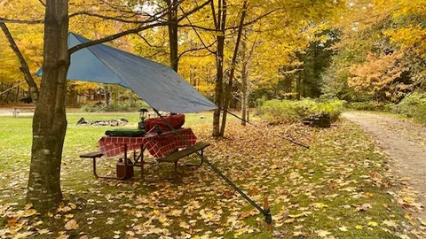 Tent Site on the Lawn (non-river) — image 1 of 2
