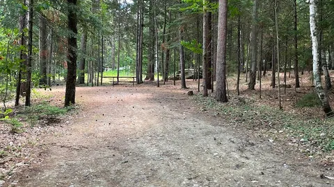 Wooded Tent Site — image 2 of 5