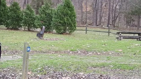 Primitive Tent Site — image 3 of 3