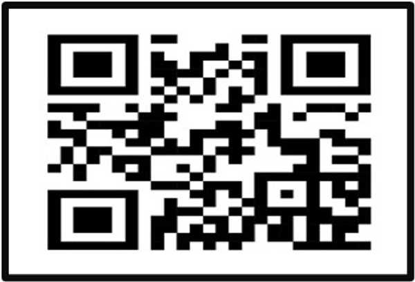 Day of the Dead Festival - Scan for Website