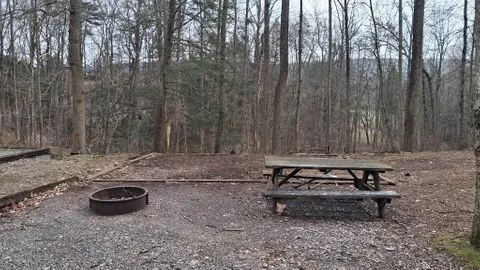 Primitive Tent Site — image 1 of 2