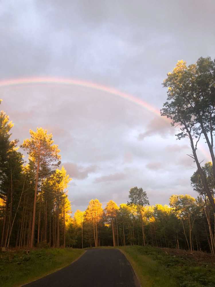 Peaceful Pines Resort - Photo 2