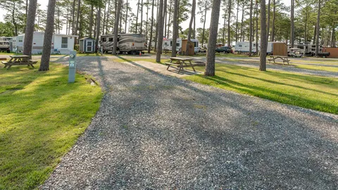 Full Hookup 50amp Pull Through RV Site — image 4 of 4