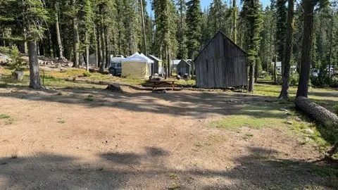 Wooley Bugger - Back-in Site — image 2 of 3