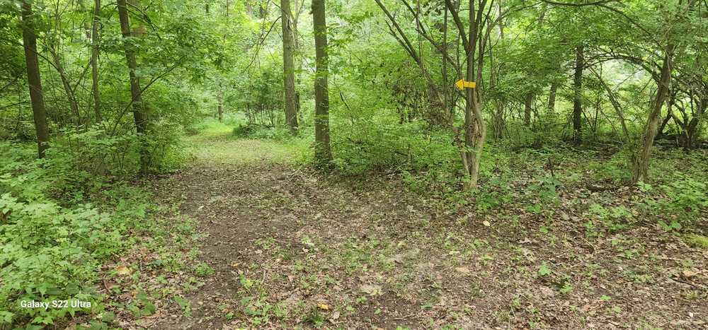 Mustang Sally's Park, South Bend, Indiana - Photo 5