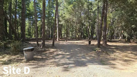 Dry Shaded Overflow Tent Site — image 2 of 7