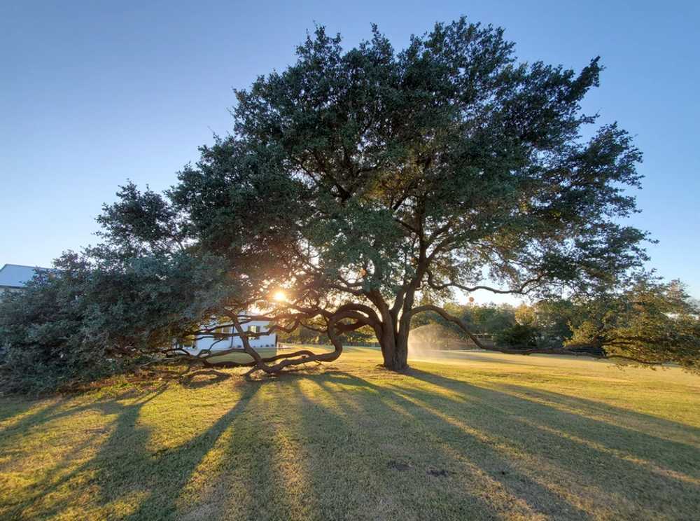 The Oaks at High Hill Wedding Venue - Photo 2