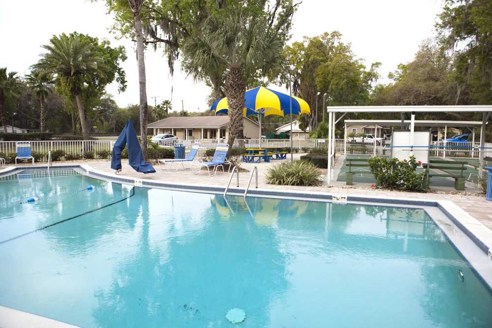 Tampa East - Photo 2