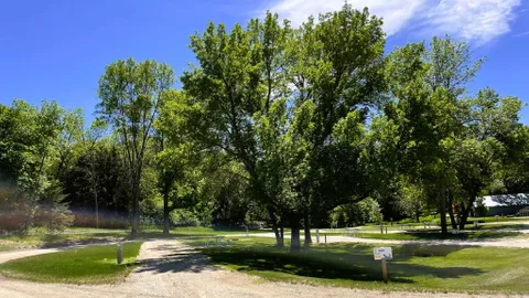 Full Hook-up + Pull-Through RV Site - Woodside Cluster — image 1 of 22