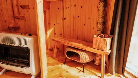 Spruce Yurt — image 2 of 9