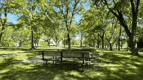 Primitives In Campgrounds — image 13 of 13