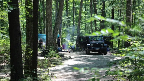 Wilderness Tent Site — image 1 of 1