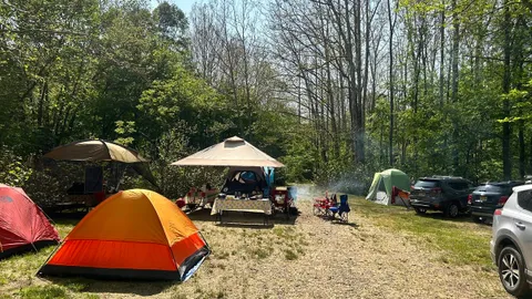 Large Group Sites Across Creek — image 1 of 16