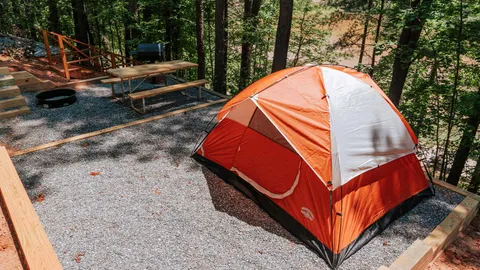 Red Carpet Tent Site — image 5 of 5