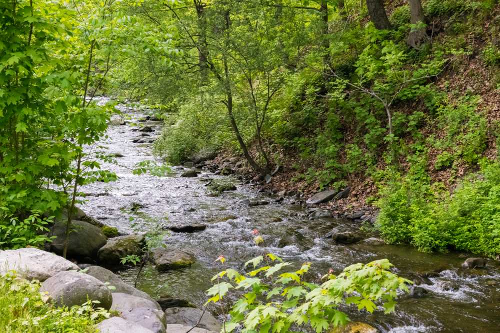 Kittatinny's River Beach Campground - Main Photo