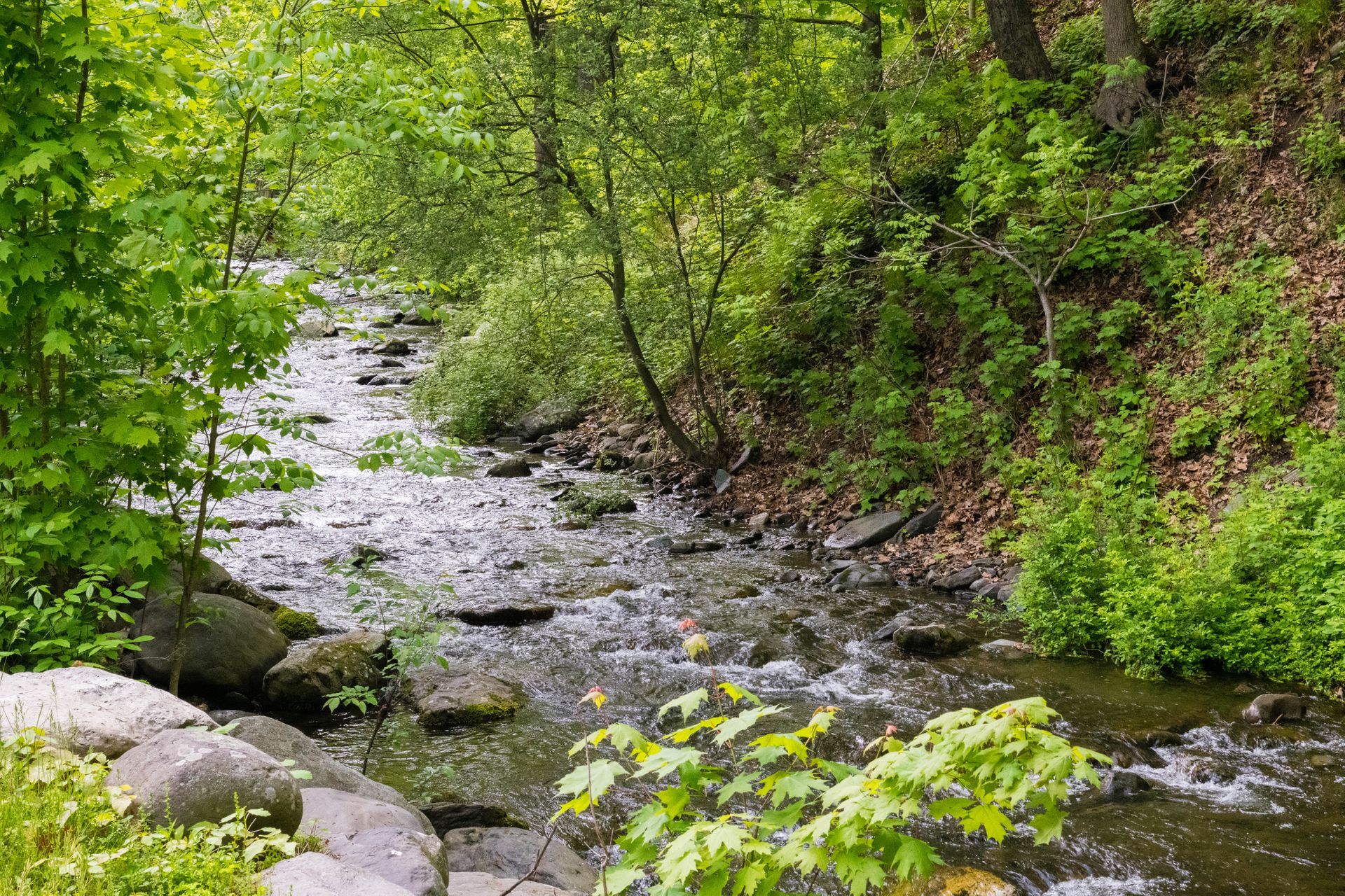 Kittatinny's River Beach Campground