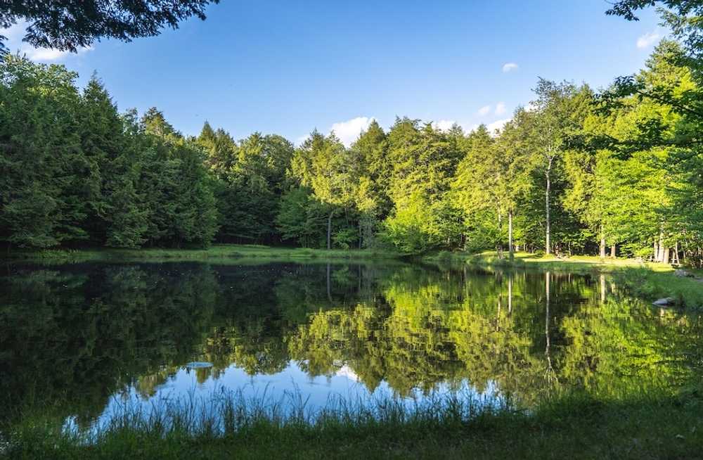 Park Image 5