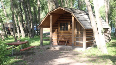 Tiny Cabin — image 1 of 2