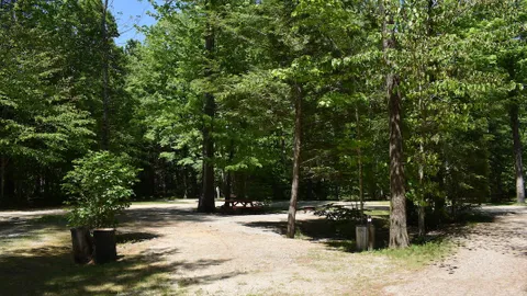 20/30 Amp Pull-Thru Wooded Site — image 2 of 2