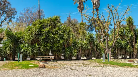Premium Back-In RV Site — image 5 of 5