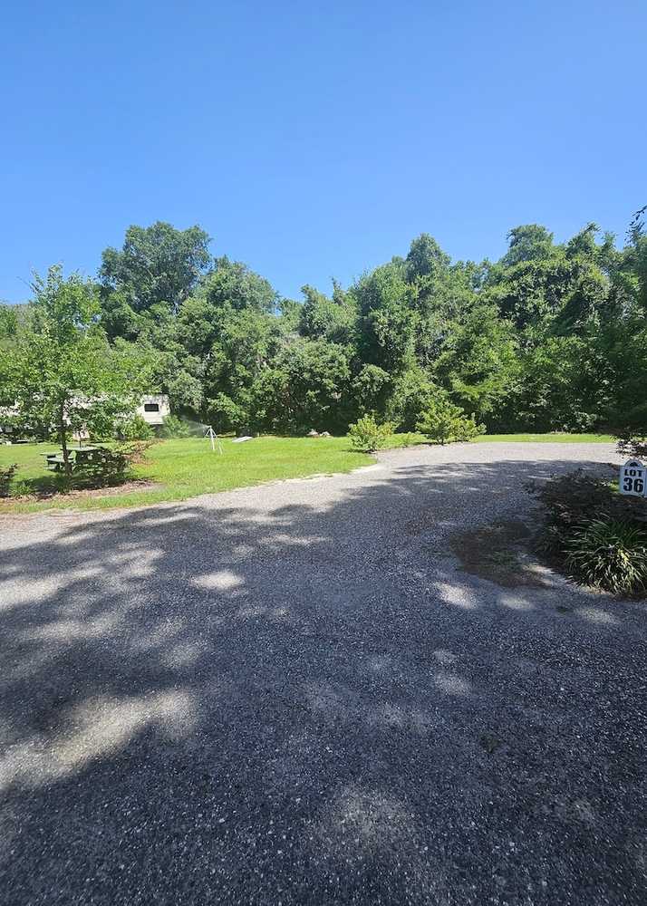 Park Image 12