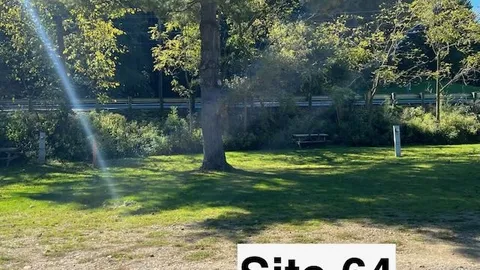 C. Field Sites — image 18 of 18