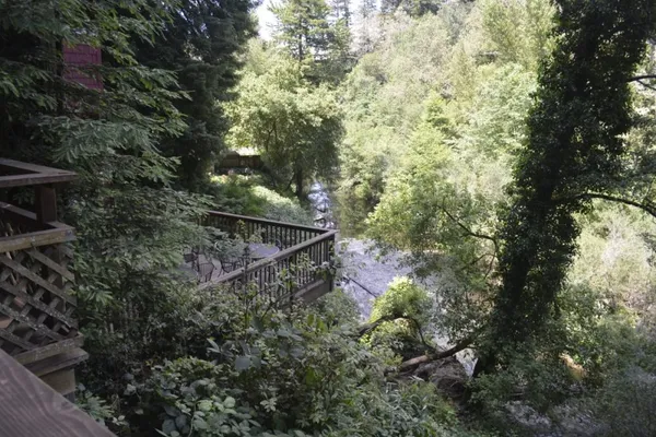Santa Cruz Redwoods RV Resort, Felton, California campground