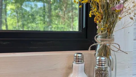 Skylight Tiny Homes: Skylight Heaven Wooded Area — image 2 of 7