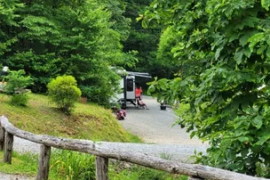 Teaberry Hill RV Campground – photo 2