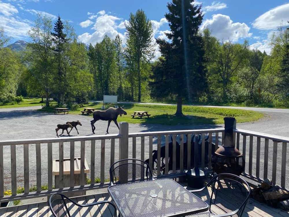 Creekbend Cafe & Acres - Photo 3