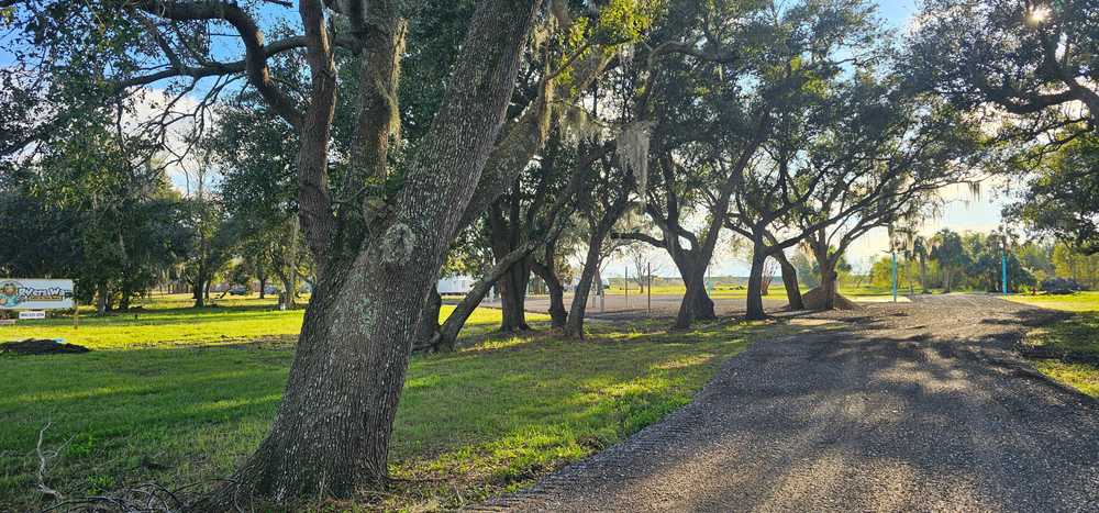 Park Image 6