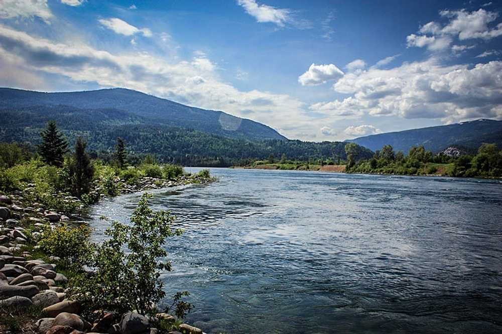 Kootenay River RV Park, Castlegar, British Columbia - Photo 4