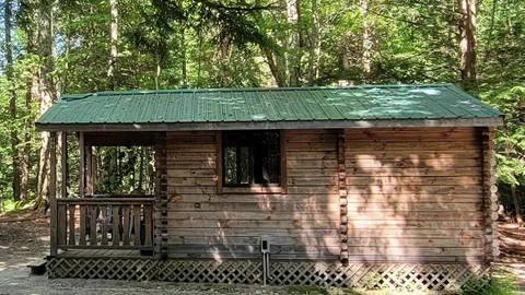 Cabin- Two Room, Wooded — image 9 of 9